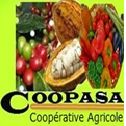 COOPASA SCOOPS