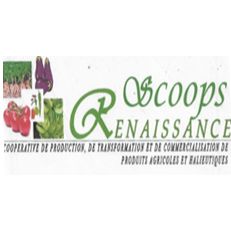 SOCIETE COOPERATIVE RENAISSANCE