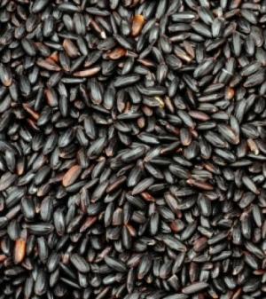 LE RIZ NOIR très bon pour les diabétiques