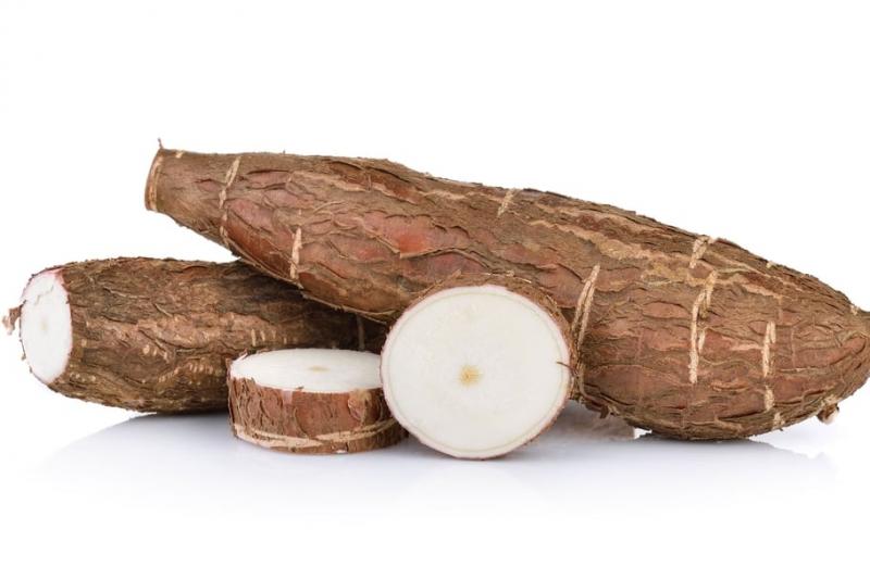 Les tubercules frais de manioc parfois transformés en placali, cossettes et farines pour l’alimentation humaine (bon pour attiéké, foutou..), et animale