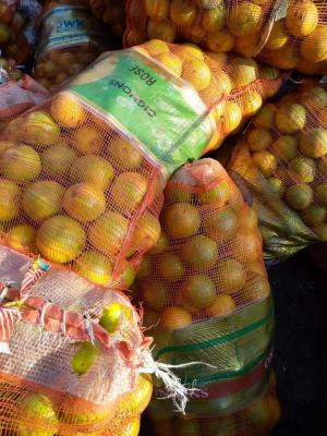 Filet d'oranges naturels