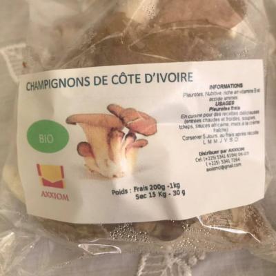 Champignons de Côte d'Ivoire